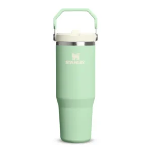 The IceFlow Flip Straw 2.0 Vacuum-Insulated Tumbler, 890ml in Pistachio